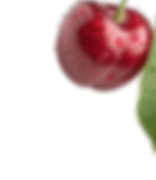 Close-up of a fresh red cherry with a green leaf, decorative background element