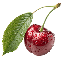 Fresh red cherry with water droplets and a green leaf on a transparent background