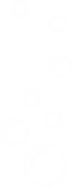 Decorative white bubbles animation